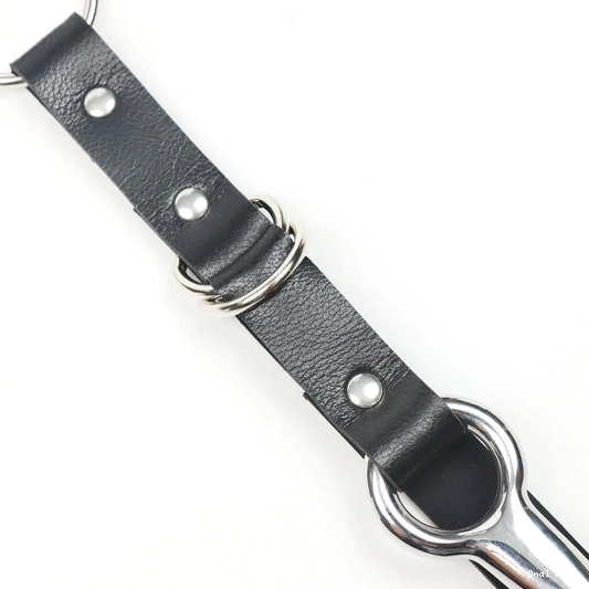 Leash with Collar EverydayUse Hook 5853 Anal and Kinky 0728
